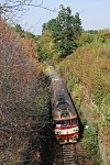 854 029-6